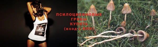 экстази Дмитровск